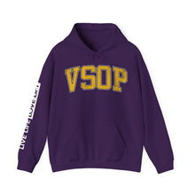Load image into Gallery viewer, VSOP Gold Athletic Font